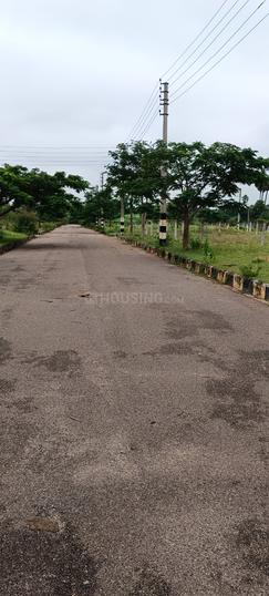 Maisigandi Main Image 1