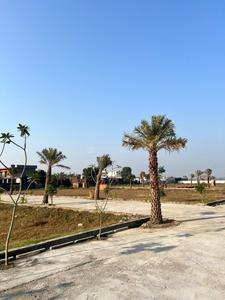 Corbett ultima Plot View 3