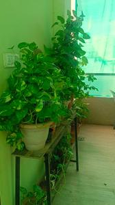 Balcony Image of 500 Sq.ft 1 RK Apartment / Flat for rent in Raja Park Jaipur for Rs. 15000