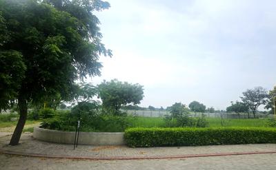 Gota Plot View 2