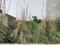 Sector 23B Dwarka Plot View 1