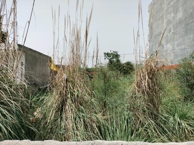 Pocket 7 Plot View 1