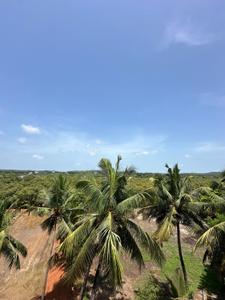 Image of 6000 Sq.ft 5 BHK Villa for sale in Conscient Vista Arrozal, Candolim, Goa for Rs. 80000000