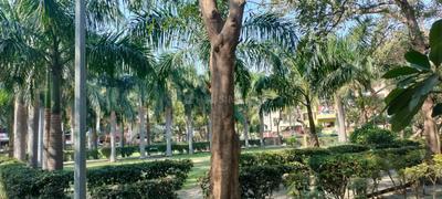 Image of 200 Sq.ft Residential Plot / Land for sale in Sector 14, Noida for Rs. 80000000