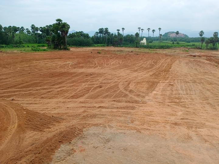 S S Royal Palace Main Image 1