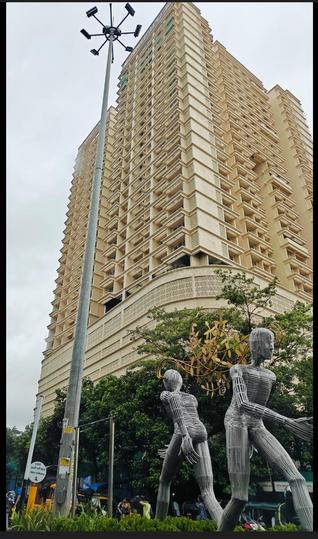 gami asters b wing More Images 1