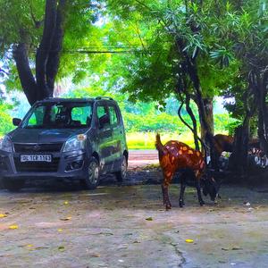 8 BHK Independent House