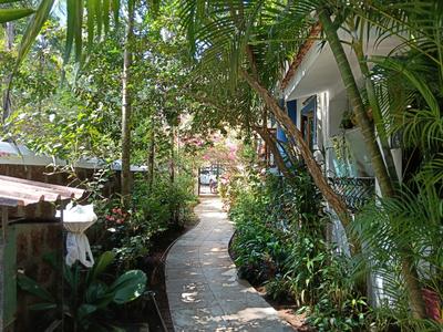 Image of 1280 Sq.ft 2 BHK Villa for sale in Acron Villa Vida, Arpora, Goa for Rs. 22500000