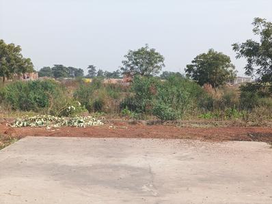 Image of 1000 Sq.ft Residential Plot / Land for sale in Pacheda 1, Raipur for Rs. 1200000