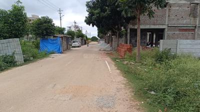 Karle Habitat Plot View 3