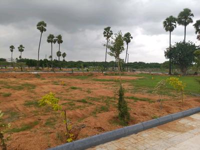 Residential Plot