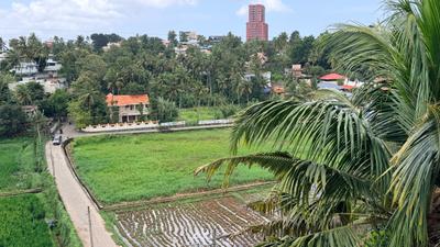 Image of 1100 Sq.ft 2 BHK Apartment / Flat for rent in Kesavadasapuram, Thiruvananthapuram for Rs. 25000