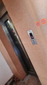 Hall Image of 990 Sq.ft 2 BHK Builder Floor for rent in Preet Vihar New Delhi for Rs. 25000