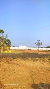 Colony Plot View 3