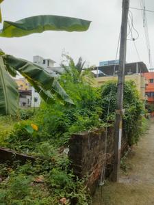 Rajarhat Chowmatha Plot View 3