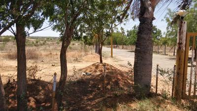 Image of 200 Sq.ft Residential Plot / Land for sale in Shamirpet, Hyderabad for Rs. 4200000
