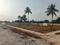 SR GARDEN Plot View 2