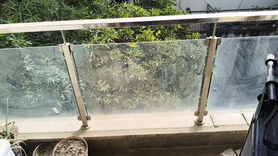 Balcony Image of 1500 Sq.ft 3 BHK Builder Floor for rent in Arjun Nagar New Delhi for Rs. 75000