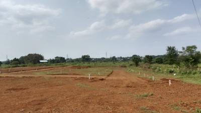 Big bazar commercial Plot View 3