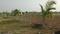 Ranjangaon Plot View 2
