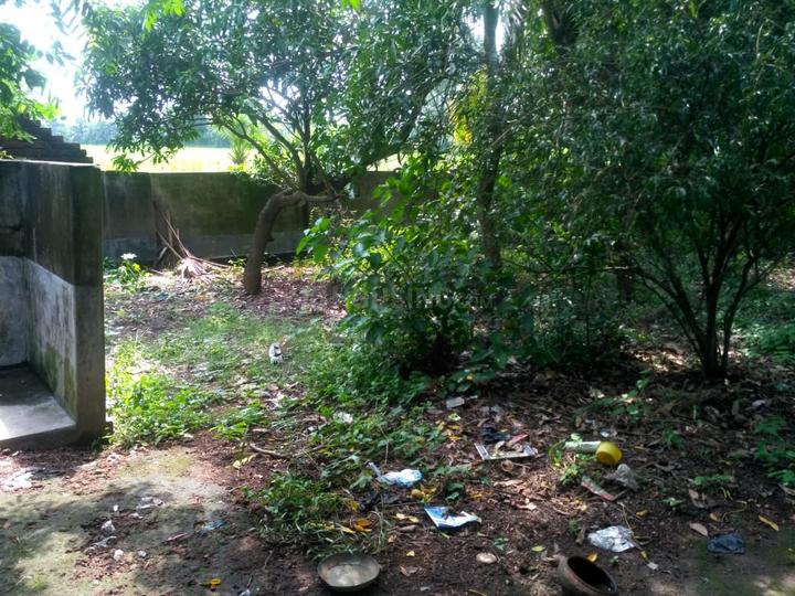 22054 Sqft Agricultural Land for Sale in Santiniketan, Bolpur