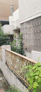 Image of 890 Sq.ft 2 BHK Independent House for sale in Diwalipura, Vadodara for Rs. 10000000