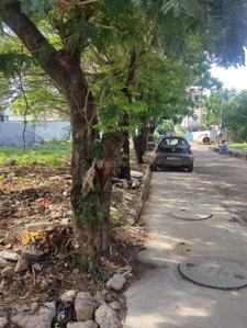 Image of 2280 Sq.ft Residential Plot / Land for sale in Velachery, Chennai for Rs. 38000000