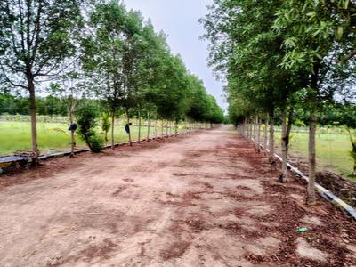 Image of 12000 Sq.ft Residential Plot / Land for sale in Uthiramerur, Chennai for Rs. 4000000