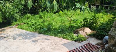 Image of 1629 Sq.ft Residential Plot / Land for sale in Anarwala, Dehradun for Rs. 5430000