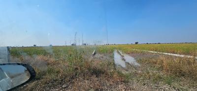 Lothal Plot View 3