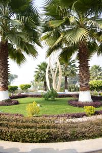 Image of 1500 Sq.ft Residential Plot / Land for sale in Wing Lucknow Greens Plots, Sultanpur Road, Lucknow for Rs. 6750000