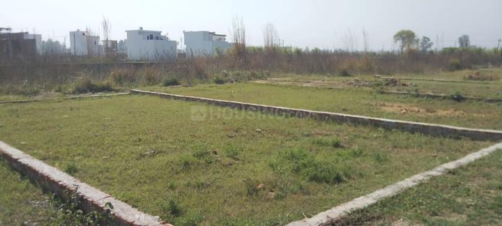 Talhedi Main Image 1