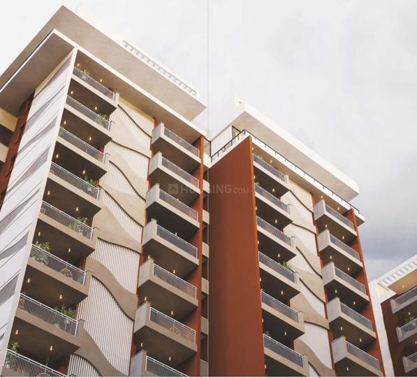 IRA Miracle Main Image 1