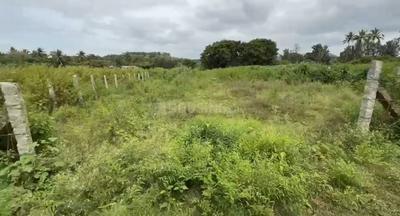 Agricultural Land