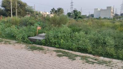 Image of 819 Sq.ft Residential Plot / Land for sale in MG Avenue, Bhago Majra, Mohali for Rs. 3450000