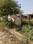 Lolai Main Image 1