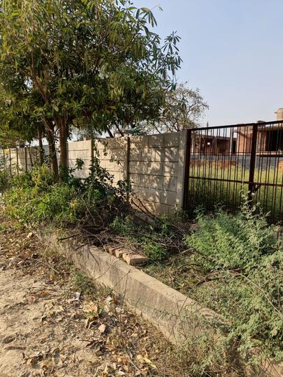 Lolai Main Image 1