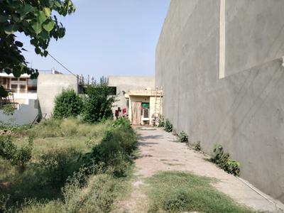 Sector 9 Plot View 2
