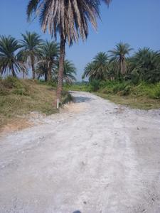Image of 1500 Sq.ft Residential Plot / Land for sale in Ghatshila, East Singhbhum for Rs. 750000