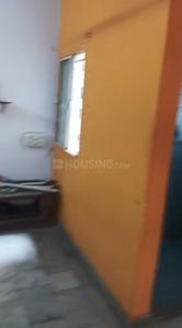 Hall Image of 520 Sq.ft 1 BHK Apartment / Flat for rent in Ghodasar Ahmedabad for Rs. 10000