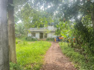 3 BHK Independent House