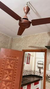 Bathroom Image of 425 Sq.ft 1 BHK Apartment / Flat for rent in Vasai West Vasai for Rs. 11000