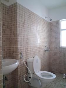 Common Bathroom Image of 1564 Sq.ft 3 BHK Apartment / Flat for sale in Paras Tierea, Sector 137 Noida for Rs. 12900000