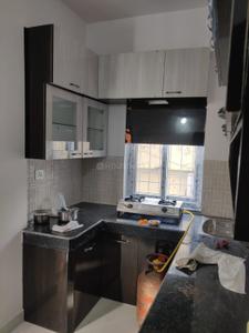 Kitchen Image of 1600 Sq.ft 3 BHK Apartment / Flat for rent in Lalpur Ranchi for Rs. 24000