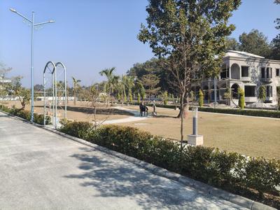 Dishaa Forest Plot View 2