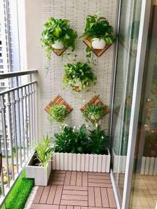Balcony Image of 1000 Sq.ft 2 BHK Apartment / Flat for sale in Sector 110 Noida for Rs. 3500000