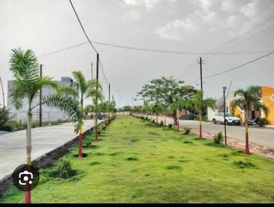 Cantt Plot View 2