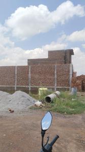 Plot View