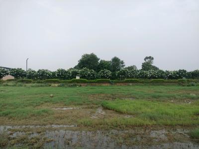 Image of 150 Sq.ft Residential Plot / Land for sale in Mansha Oaks, Sector 98, Faridabad for Rs. 19500000