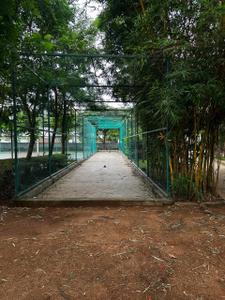 Image of 1500 Sq.ft Residential Plot / Land for sale in Electronic City, Bengaluru for Rs. 20000000